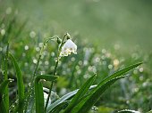 02_Acqua e vita